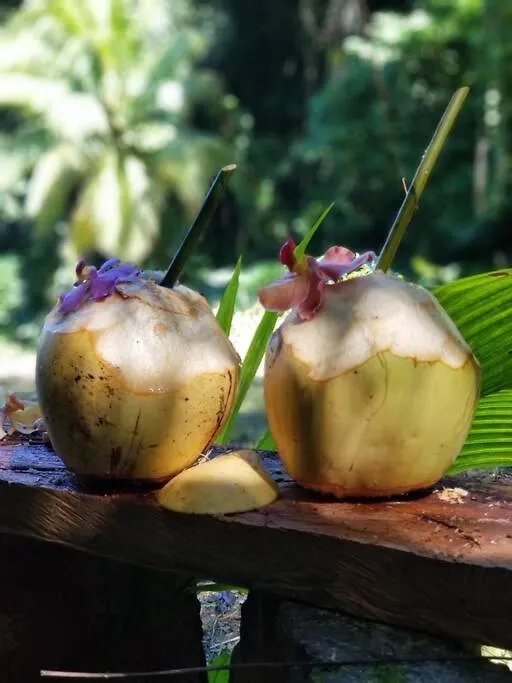 Ecoscape Jamaica - Cottages By The River Ocho Rios