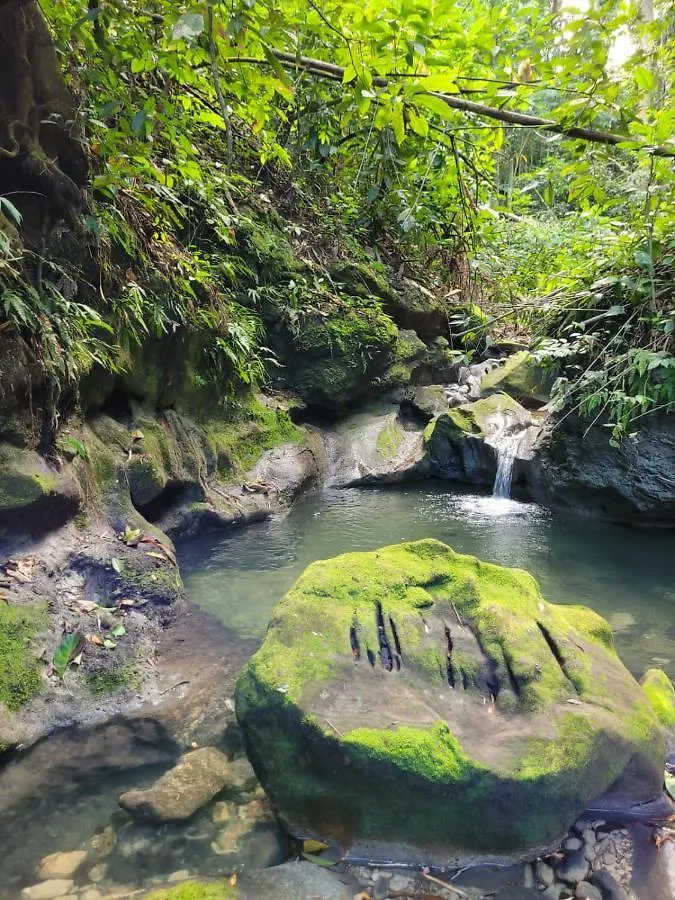Ecoscape Jamaica - Cottages By The River Ocho Rios Holiday home