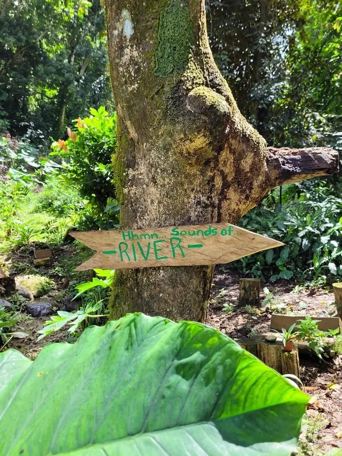 Holiday home Ecoscape Jamaica - Cottages By The River Ocho Rios
