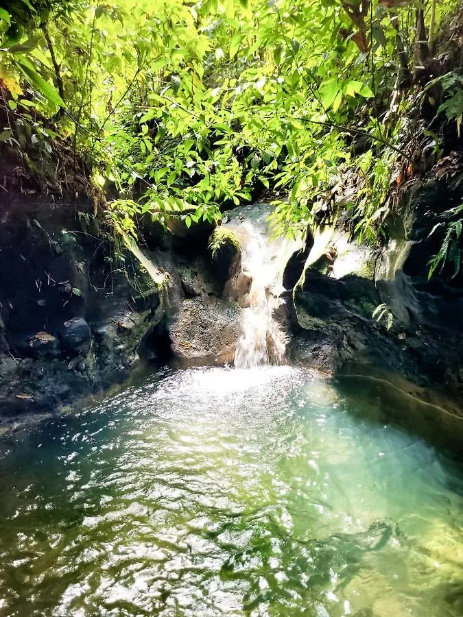 Ecoscape Jamaica - Cottages By The River Ocho Rios Jamaica
