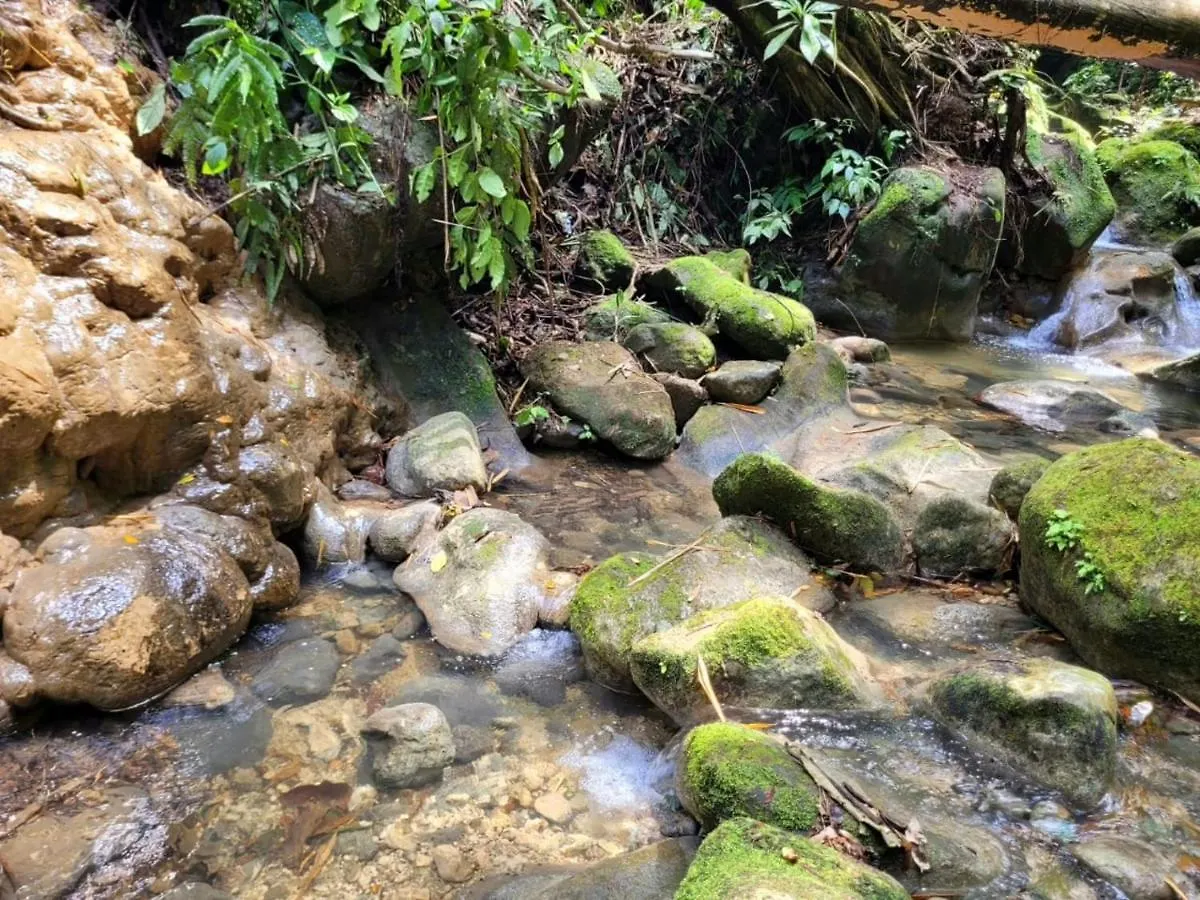 Holiday home Ecoscape Jamaica - Cottages By The River Ocho Rios