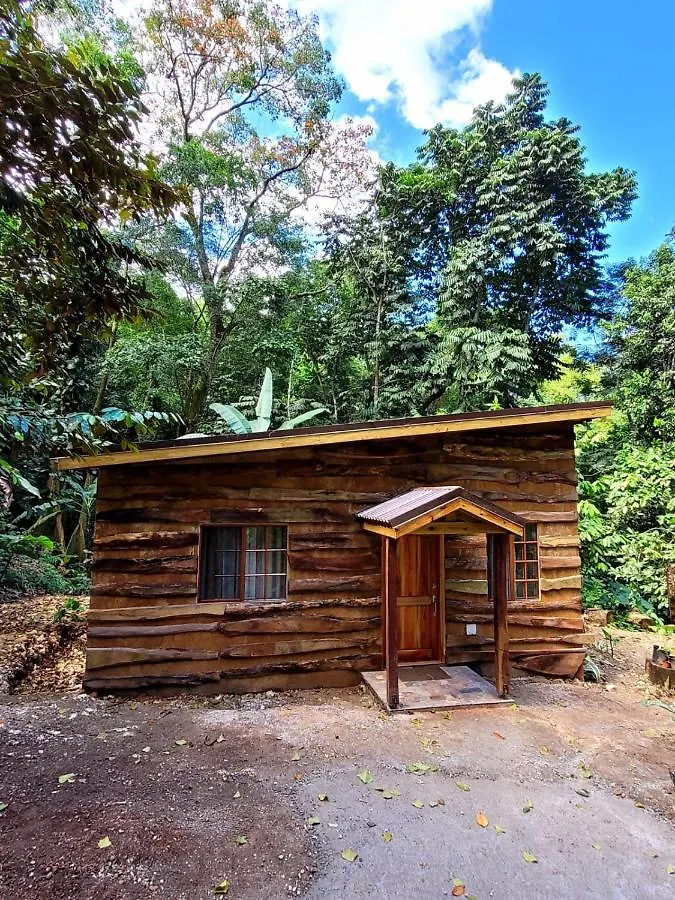 Ecoscape Jamaica - Cottages By The River Ocho Rios Holiday home
