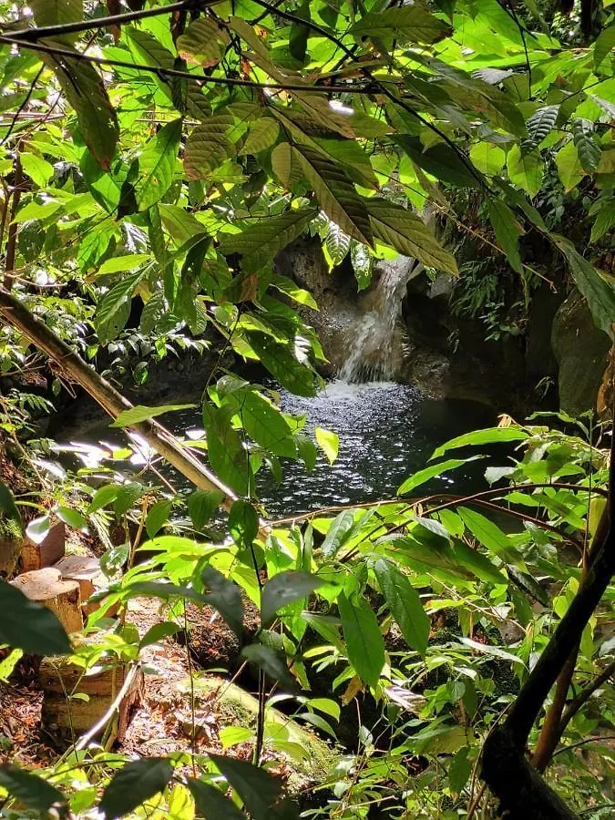 Ecoscape Jamaica - Cottages By The River Ocho Rios