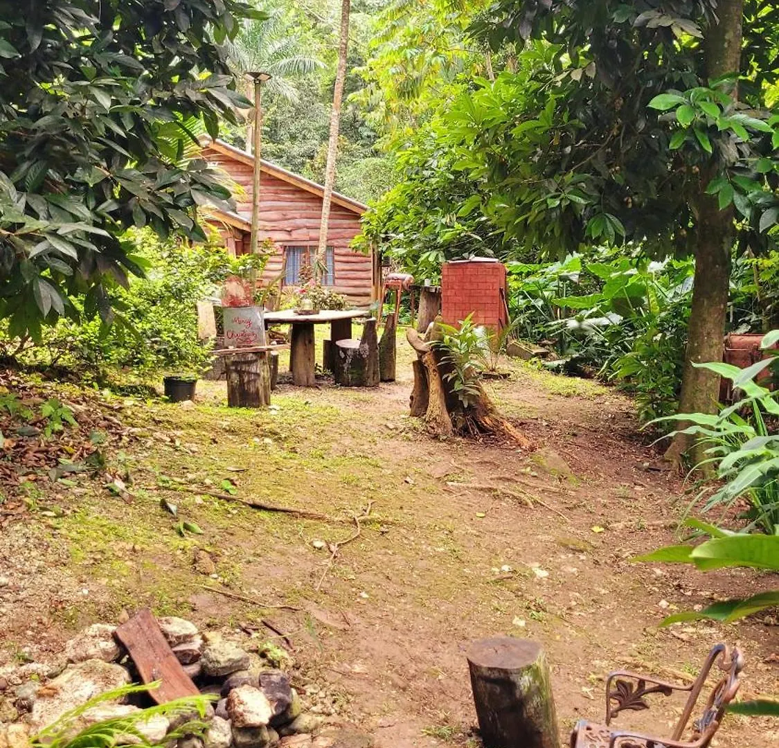 Holiday home Ecoscape Jamaica - Cottages By The River Ocho Rios