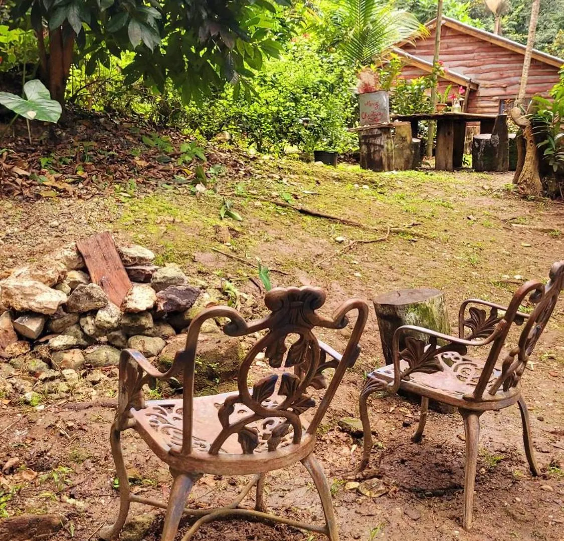 Ecoscape Jamaica - Cottages By The River Ocho Rios Jamaica