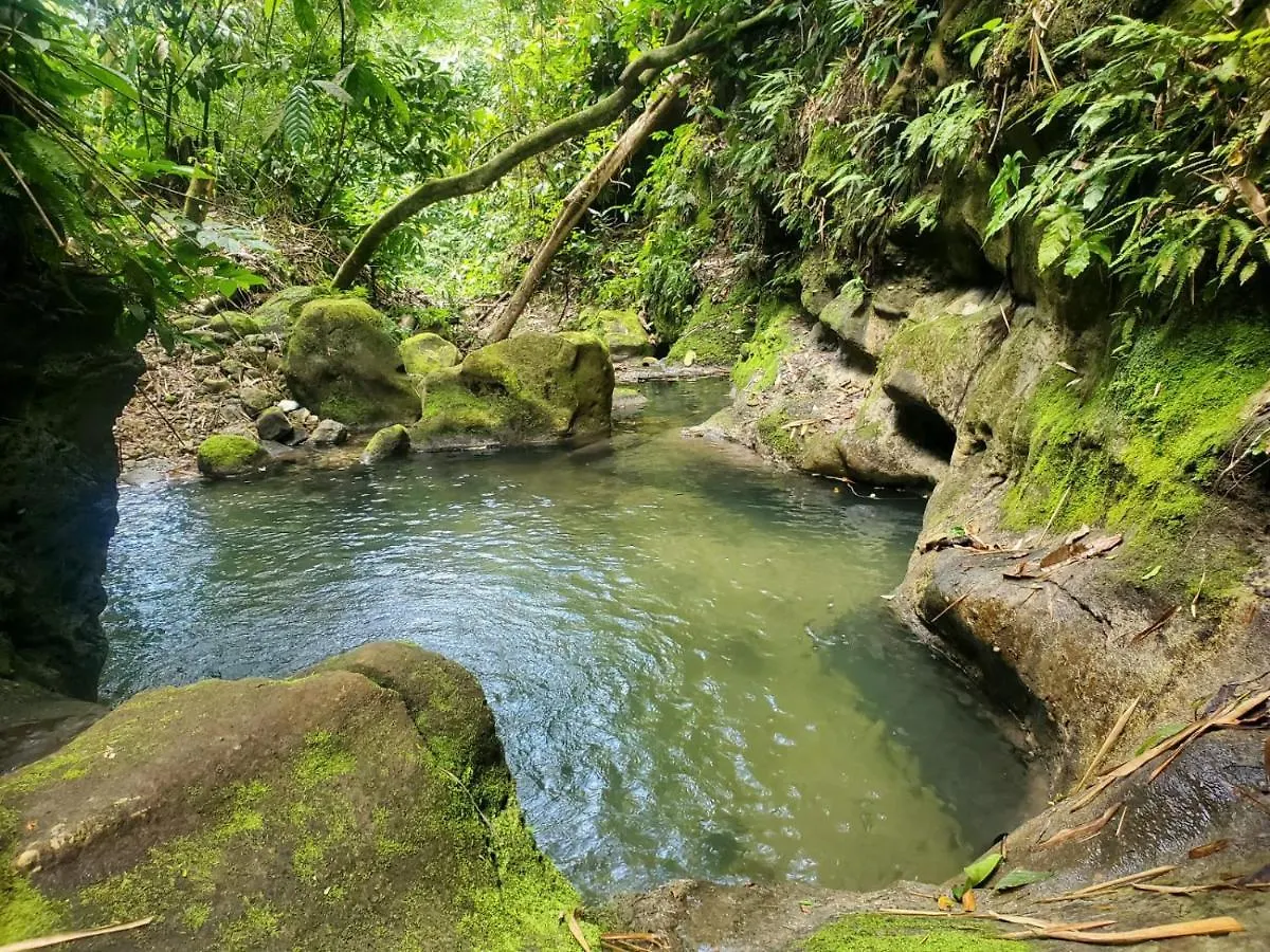 Ecoscape Jamaica - Cottages By The River Ocho Rios 0*,  Jamaica