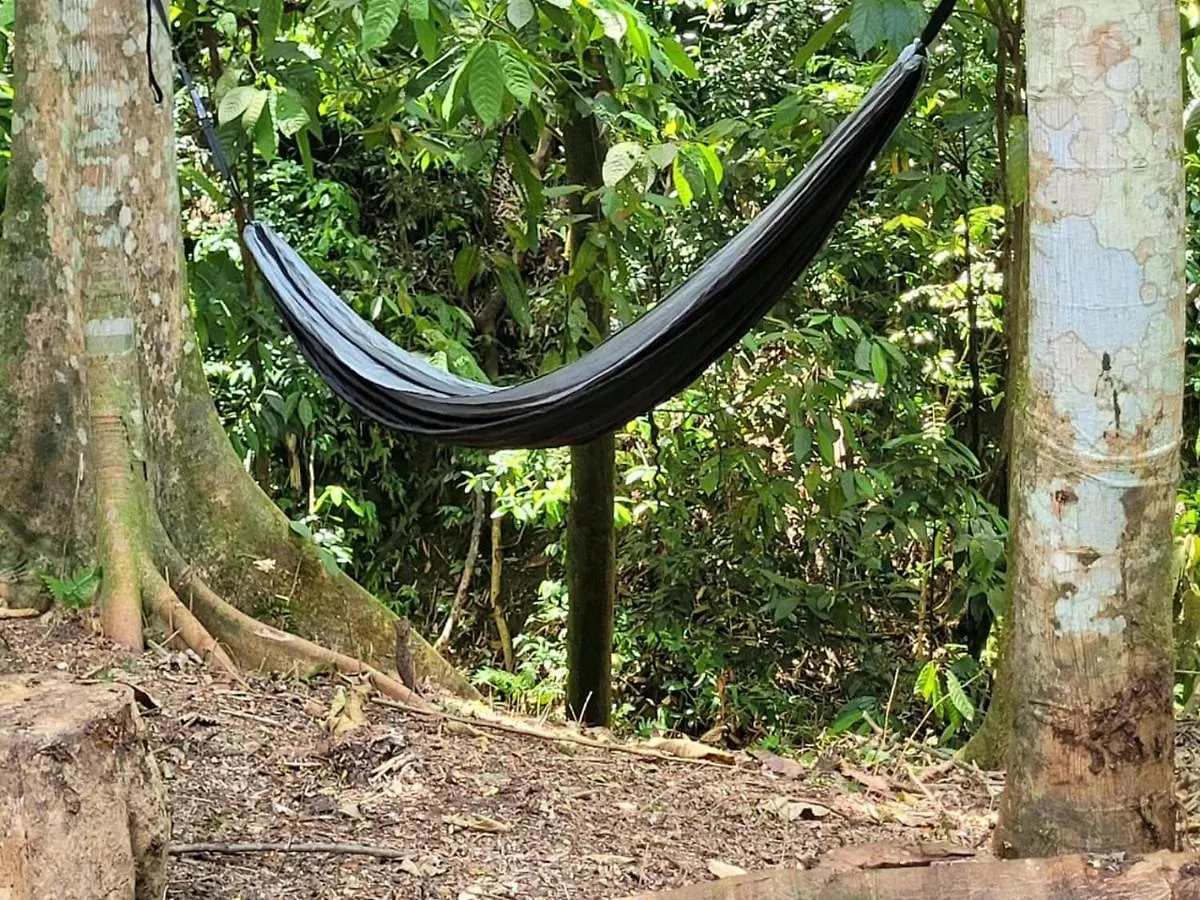 Ecoscape Jamaica - Cottages By The River Ocho Rios Holiday home