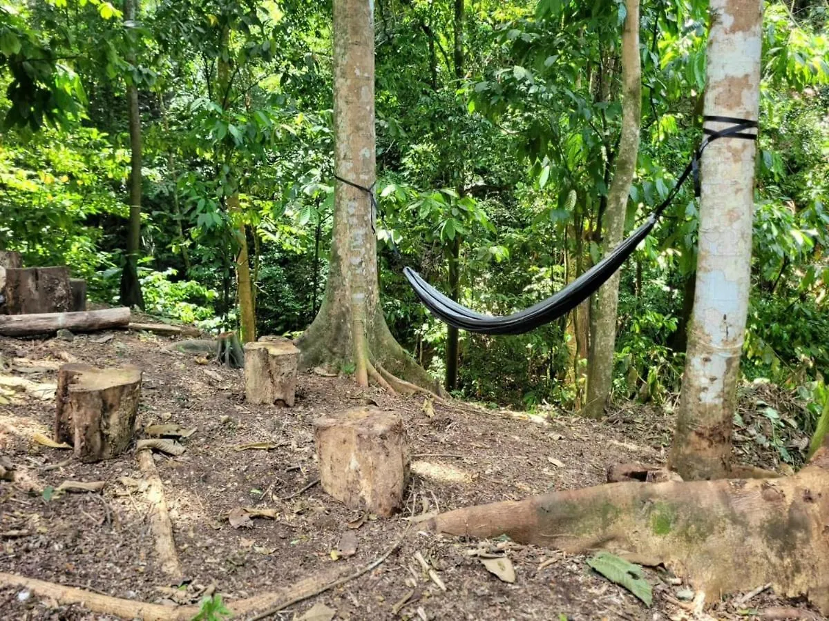 Ecoscape Jamaica - Cottages By The River Ocho Rios