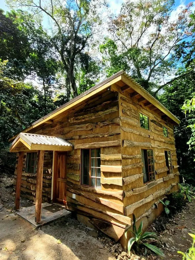 Ecoscape Jamaica - Cottages By The River Ocho Rios