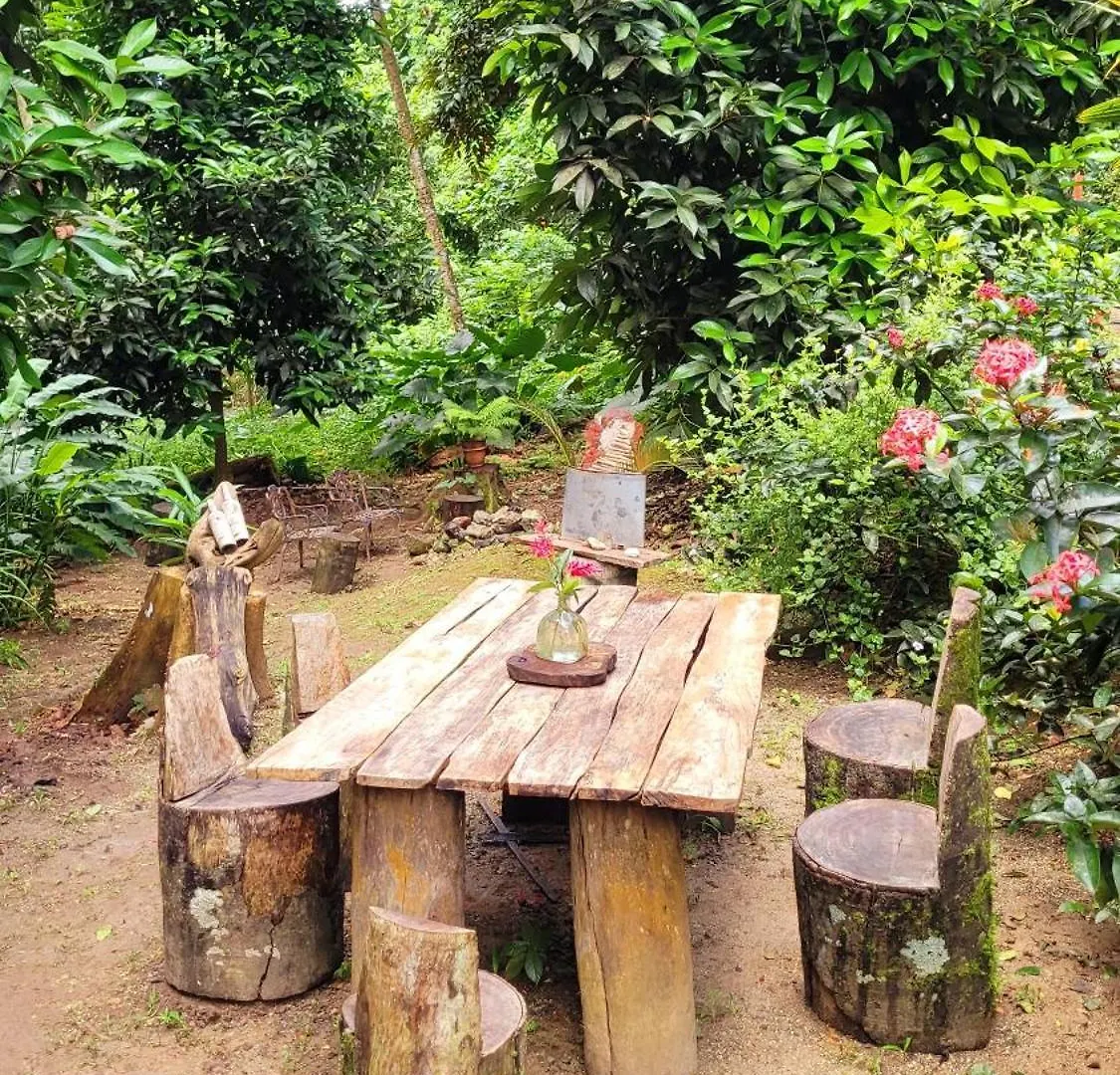 Ecoscape Jamaica - Cottages By The River Ocho Rios 0*,  Jamaica