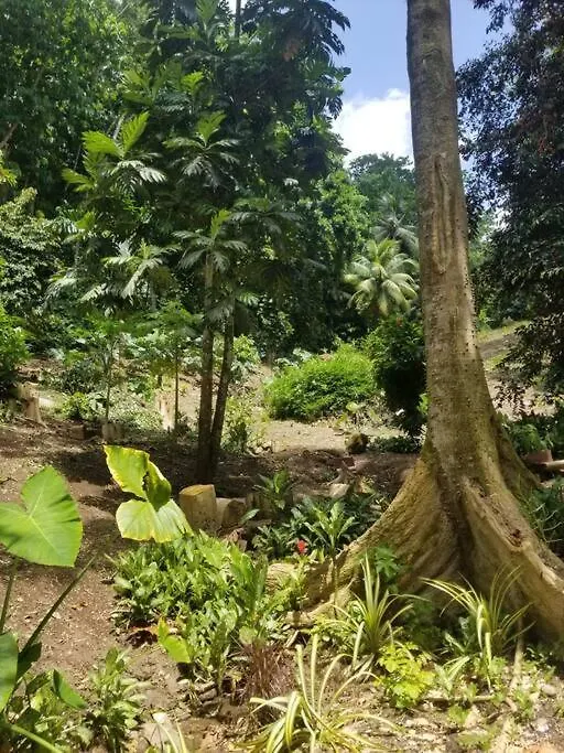 Holiday home Ecoscape Jamaica - Cottages By The River Ocho Rios
