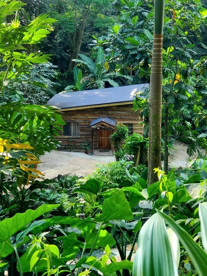 Holiday home Ecoscape Jamaica - Cottages By The River Ocho Rios